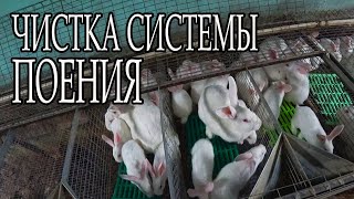 ПОЛНОЕ ОБСЛУЖИВАНИЕ ОДНОГО КРОЛЬЧАТНИКА