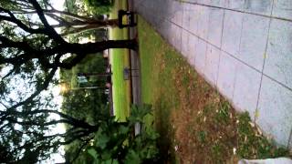 WP 20130306 002