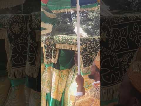 ታቦቱ እየወጣ ነው እርግቧ