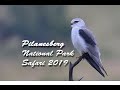 Pilanesburg National Park, South Africa 2019