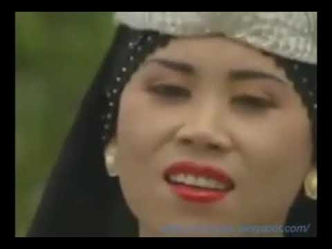 VCD Edaran Ira Puspita Record Full Album Video bisa di download MP3 juga 
