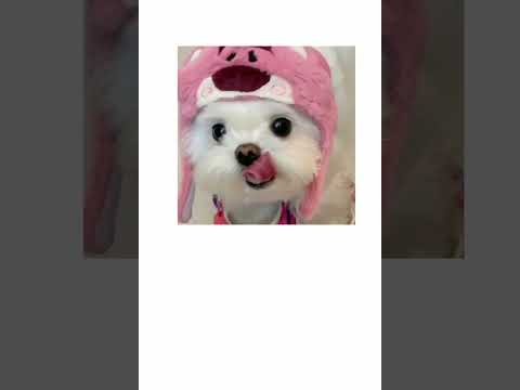 Video Avatar vô tri dành cho mí ní nè, của ai vô nhận đi #Avatar #cute #votri #xh #xhuong2023 #fry #trend - youtube