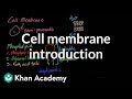 The Role and Structure of the Cell Membrane in Biological Systems