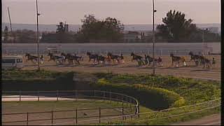 Vidéo de la course PMU PREMI MENORCA