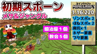 【神シードVer1.16】地下要塞とネザーが共に近い！？全種木材ジャンメサ平原村！！【マイクラ統合版】【Best Seed】【＃part113】