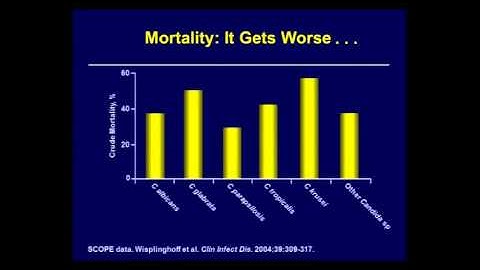 Fungal Infections in Cancer and Transplant Patients   Dr  Hachem   MD Anderson Cancer Center Video