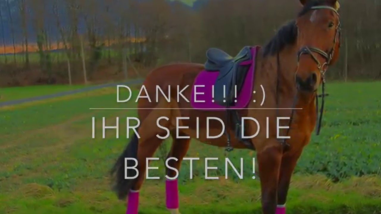 Danke Ihr Seid Die Besten www.youtube.com
