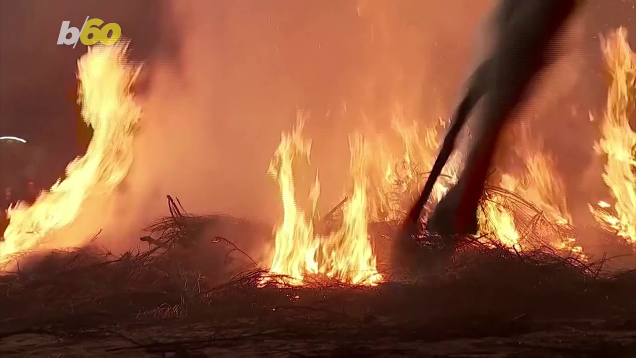 Watch as These Incredible Horses Jump Through Flames