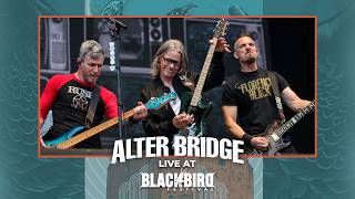 Alter Bridge - Silent Divide & Addicted To Pain (Live at Blackbird Festival 2026)