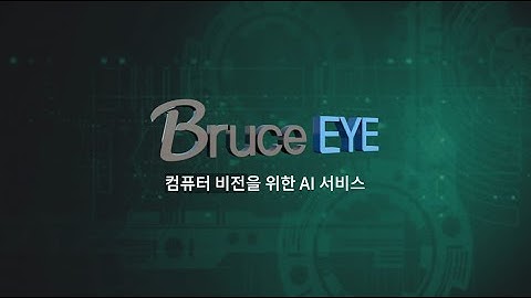 컴퓨터 비전을 위한 AI 서비스 BruceEYE