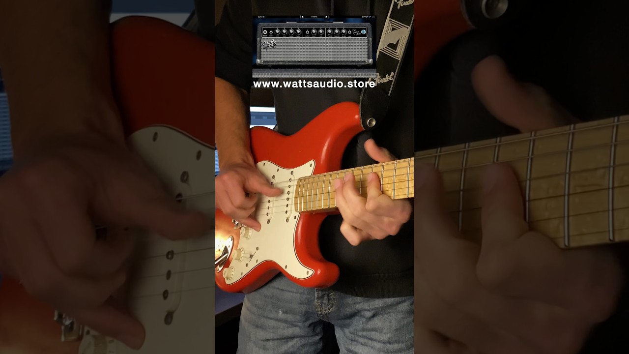 Custom Warmoth neck