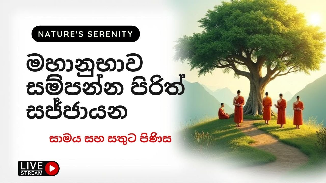 🕯️ Pirith Live Now | පිරිත සජීවීව දැන් | Buddhist Chanting Live for Blessings, Peace & Protection