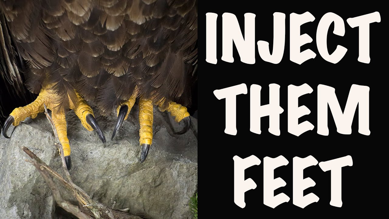 Can we Inject eagle feet the same way ? 