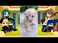 bnha react to  dekus pets part 1