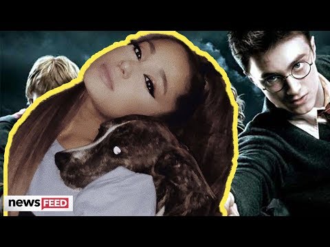Ariana Grande RESCUES Harry Potter Puppies!