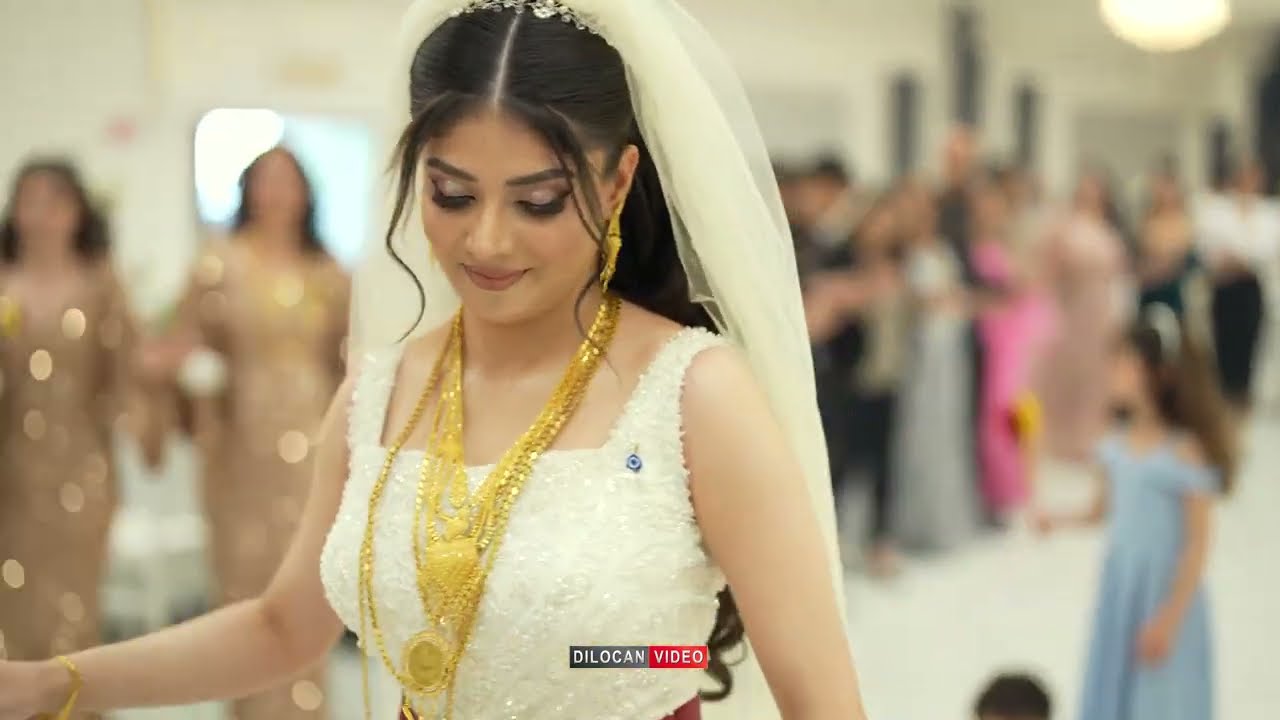 Hkmat Haji [ Hochzeit ] (Safwan & Avin) by #Dilocan Video حكمت حاجي شيخاني
