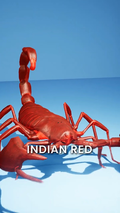 What if a Scorpion Stings You 😱 #3d #3danimation  #scorpion