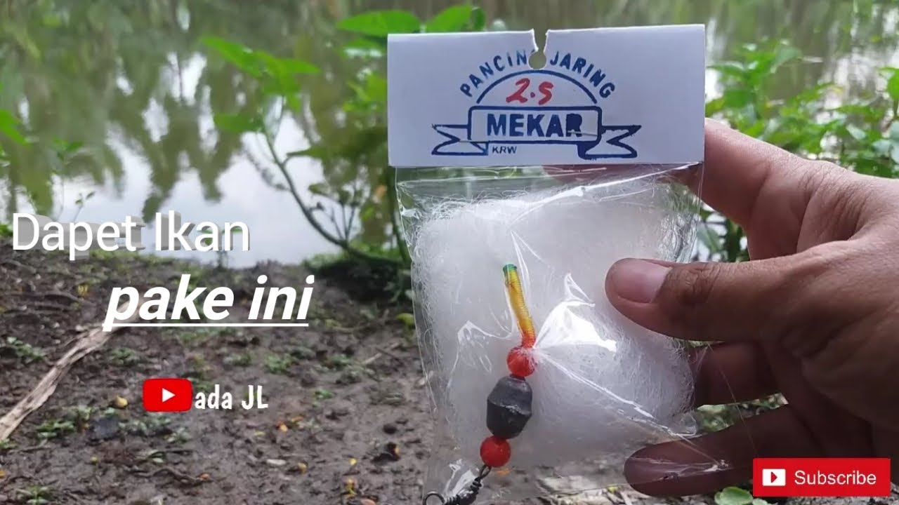 mancing ikan pake jaring ini 100 % PASTI DAPET. ( TANPA UMPAN )