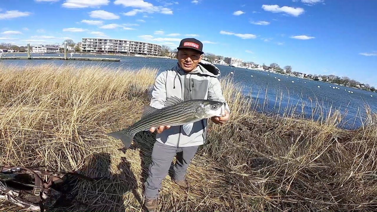 Consejos Como Pescar Stripers con Señuelo en Agua Salada