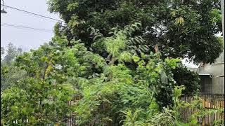 Hujan yg menenangkan