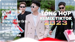 Cay Ơi Là Cay Remix~Đôi Ta Chung Lớp Chung Đường Về | Playlist G5R Remix | Hot Trend TikTok