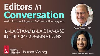 β-lactam/β-lactamase inhibitor combinations