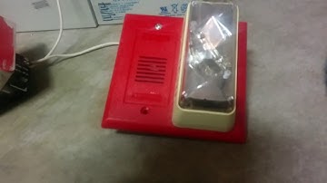 Testing my Edwards mini horn with strobe