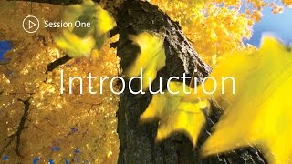 Grow: Session 1: Introduction