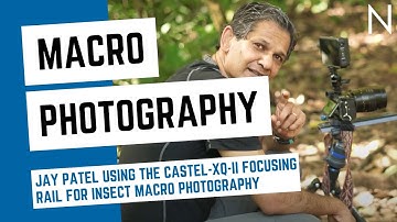Jay Patel Using the CASTEL-XQ-II Focusing Rail for Insect Macro Photography @VisualWilderness