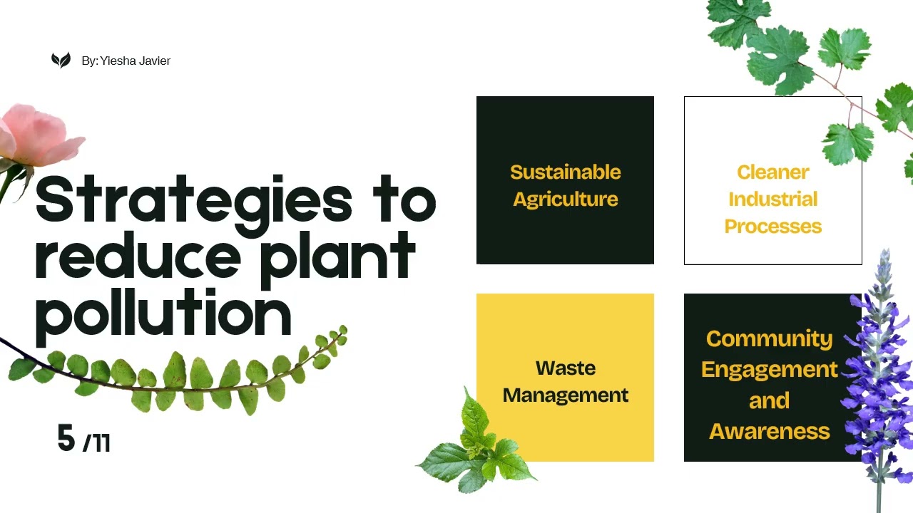 How to Reduce Plant Pollutants in the Environment