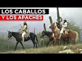 Los caballos y los APACHES