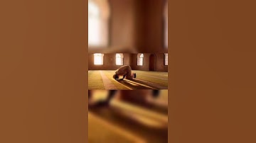 "و استعينوا بالصبر و الصلاة " القارئ عبدالرحمن مسعد 🌿