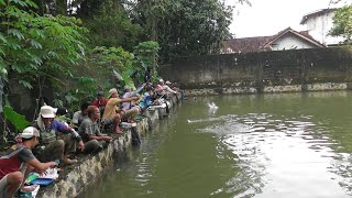 UMPAN TERLARANG GALATAMA LELE DI BANDUNG DIPAKAI MANCING BORONGAN BAWAL - GACORNYA BADRUN BIN TAKUR