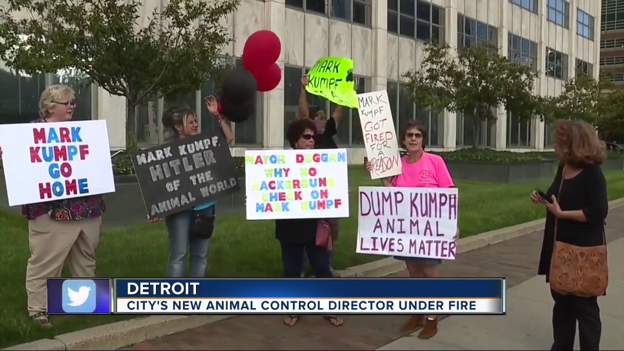 Detroit's new animal control director under fire