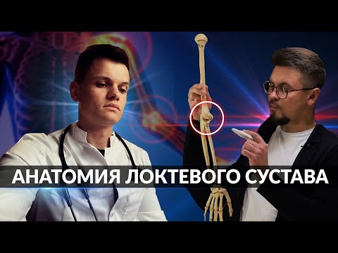 АНАТОМИЯ ЛОКТЕВОГО СУСТАВА | НАСТОЯЩИЙ АНАТОМ