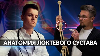 АНАТОМИЯ ЛОКТЕВОГО СУСТАВА | НАСТОЯЩИЙ АНАТОМ