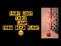 Fairy light table lamp from dead plant adventure with pratibha 