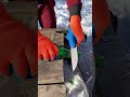 Этот нож острее скальпеля !