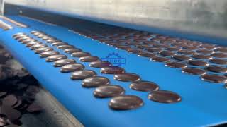 Sinofude full automatic chocolate buttons dripping production line