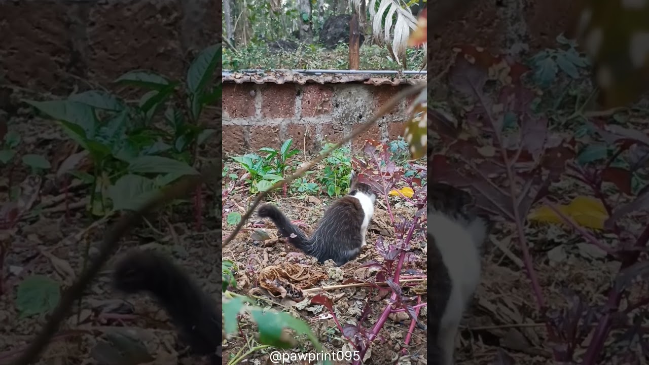 കിട്ടേണ്ടത് കിട്ടി ബോധിച്ചു 😂😂