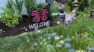 UPDATE Growing Cut Flowers from Seeds