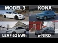 Leaf 3.zero e+, Model 3, Kona or e-Niro?