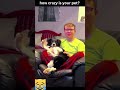 Viral pets part 2 shorts