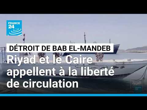 Houthis : Riyad et le Caire appellent à la liberté de circulation dans le détroit de Bab el-Mandeb