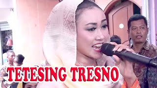 TETESING TRESNO Cover. Dewi Puspo - CAS CAMPURSARI CILEDUG