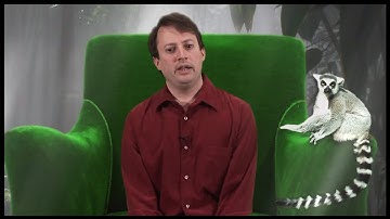 Male Grooming | David Mitchell