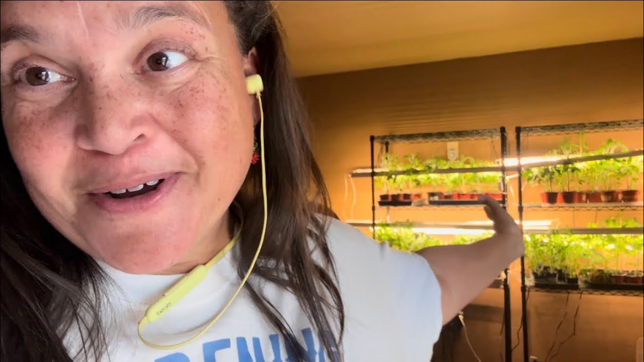 Let’s Start Planting Out 2026 Tomatoes 🙌🌱