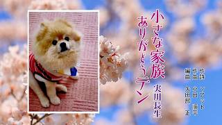 小さな家族 ありがとうテン