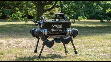 Person Tracking with the ANYmal Robot
