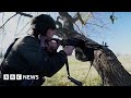 New video by BBC News on YouTube